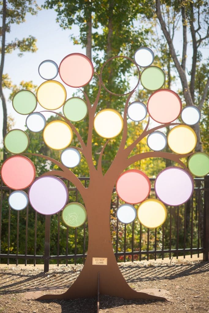 Sign design in Pittsboro NC for storefronts, banners, and business branding